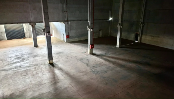 WhatsApp Image 2026-03-15 at 13.32.17.jpg