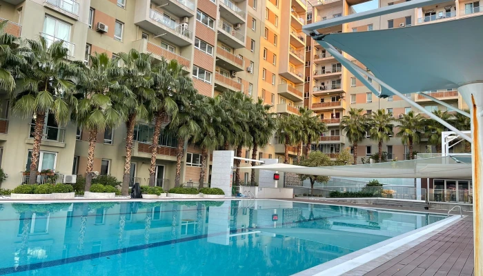 WhatsApp Image 2026-04-03 at 12.26.26.jpg