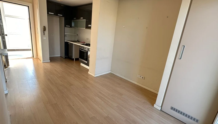 WhatsApp Image 2026-04-03 at 12.25.48.jpg