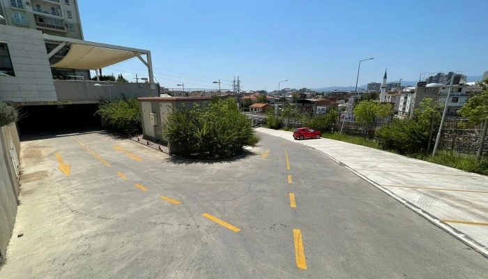 WhatsApp Image 2026-04-03 at 12.26.29.jpg