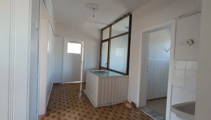 WhatsApp Image 2026-04-08 at 12.46.35.jpg