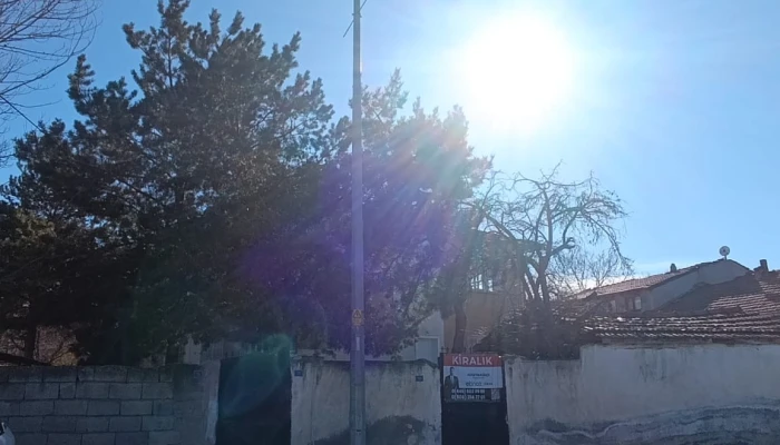 WhatsApp Image 2026-04-08 at 12.46.36 (1).jpg