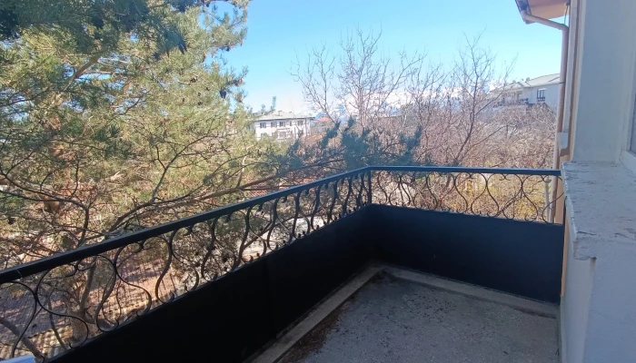 WhatsApp Image 2026-04-08 at 12.46.36.jpg