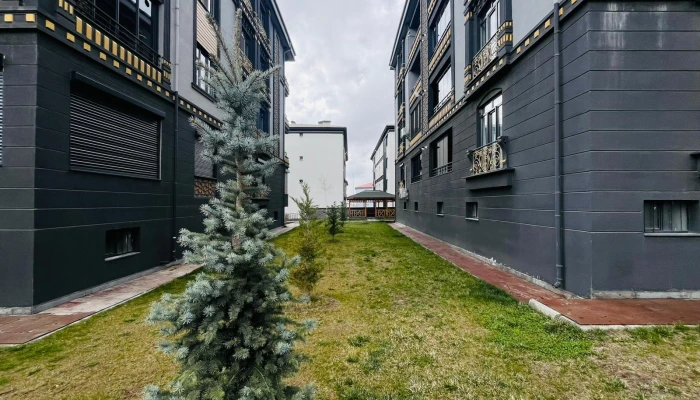 WhatsApp Image 2026-04-08 at 13.16.25.jpg