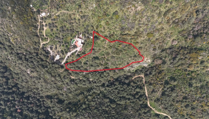 DJI_20260325135625_0139_D.jpg