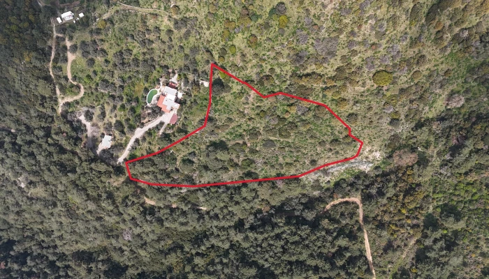 DJI_20260325135658_0140_D.jpg