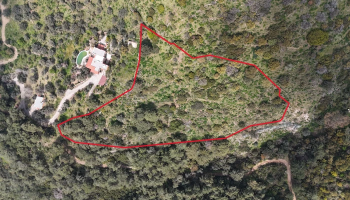DJI_20260325135732_0141_D.jpg