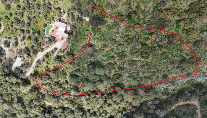 DJI_20260325135802_0142_D.jpg