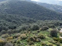 DJI_20260325140020_0143_D.jpg