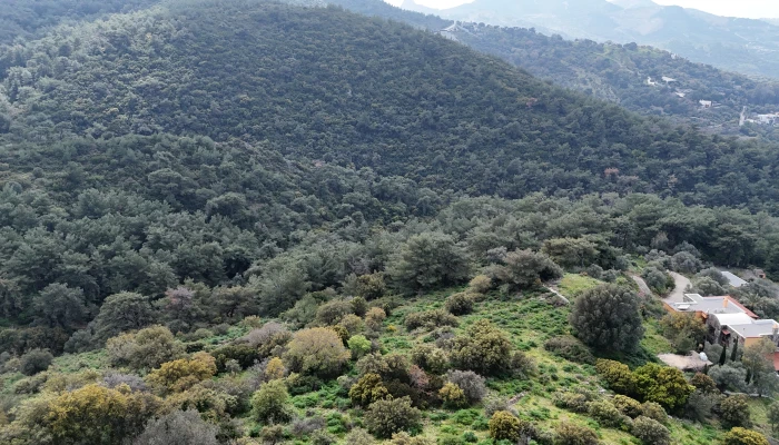 DJI_20260325140020_0143_D.jpg