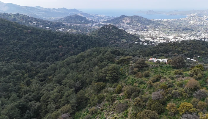 DJI_20260325140058_0144_D.jpg