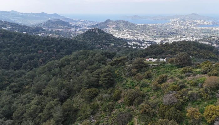 DJI_20260325140209_0145_D.jpg