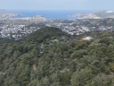DJI_20260325140252_0146_D.jpg