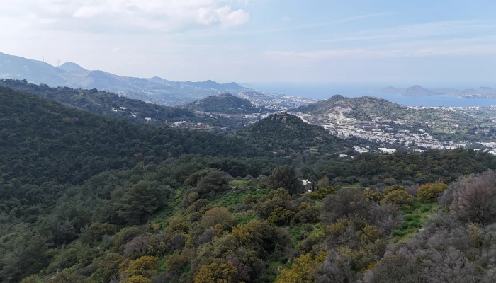 DJI_20260325140514_0149_D.jpg
