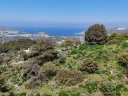 DJI_20260326123457_0156_D.jpg