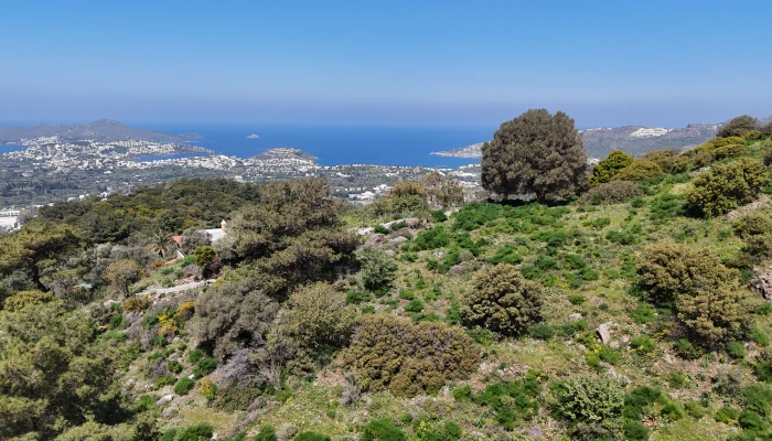 DJI_20260326123457_0156_D.jpg