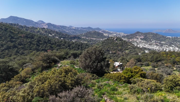 DJI_20260326123544_0157_D.jpg