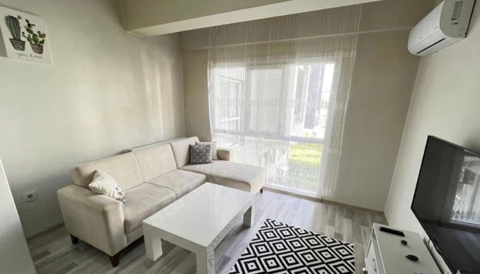 WhatsApp Image 2026-04-19 at 22.10.44 (4).jpg