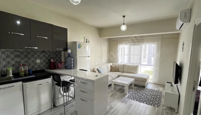 WhatsApp Image 2026-04-19 at 22.10.44 (5).jpg