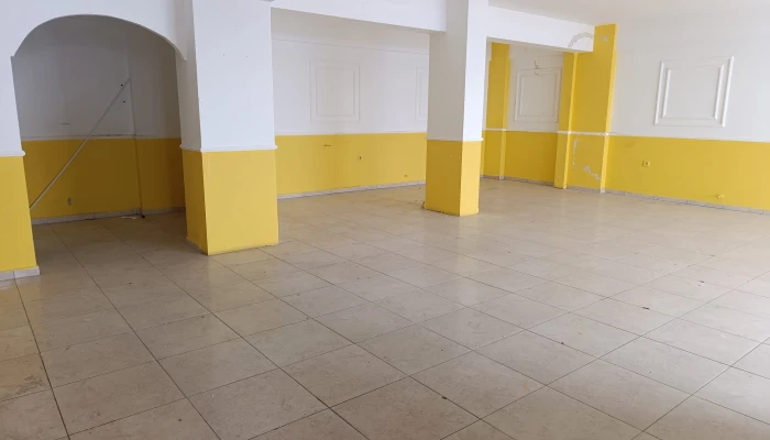 WhatsApp Image 2026-04-20 at 11.49.37.jpg