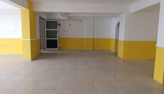 WhatsApp Image 2026-04-20 at 11.49.36 (1).jpg