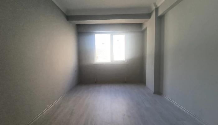 WhatsApp Image 2026-04-20 at 11.55.17 (3).jpg