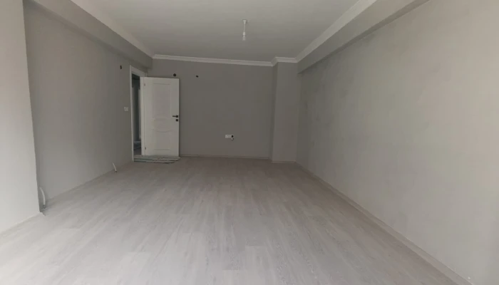 WhatsApp Image 2026-04-20 at 11.55.17 (1).jpg