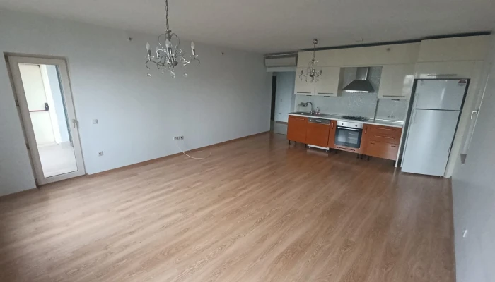 WhatsApp Image 2026-04-20 at 12.17.00.jpg