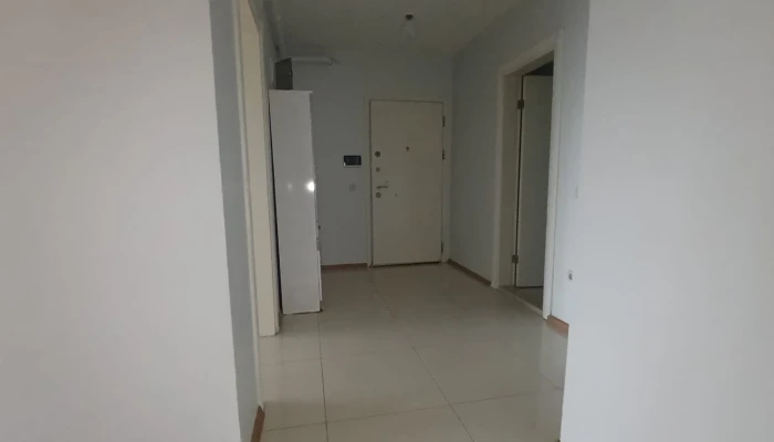 WhatsApp Image 2026-04-20 at 12.17.01.jpg