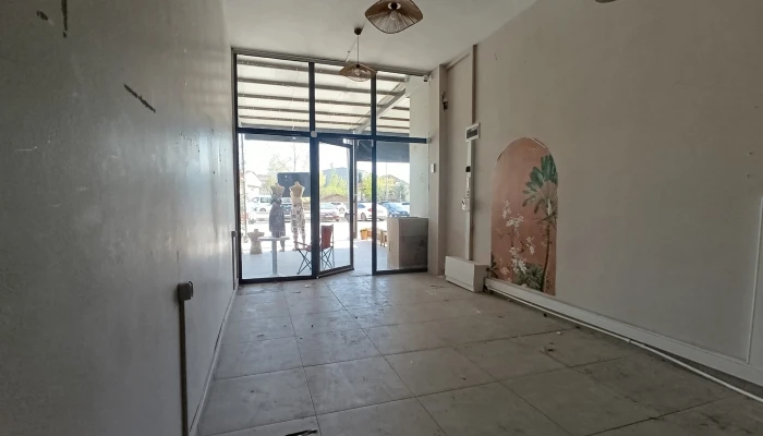 WhatsApp Image 2026-04-21 at 16.13.49 (1).jpg