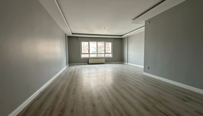 WhatsApp Image 2026-04-21 at 17.33.48.jpg