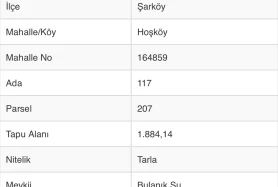 Şarköyde Verimli 55 Ağaçlık Gemlik Tipi Zeytinlik - Yatırımlık