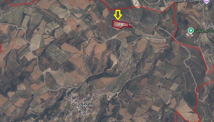 turan2.png