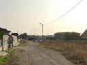 p1.jpg
