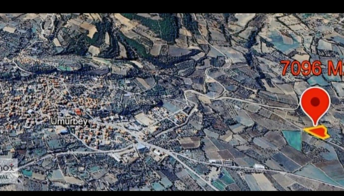1000861871.jpg