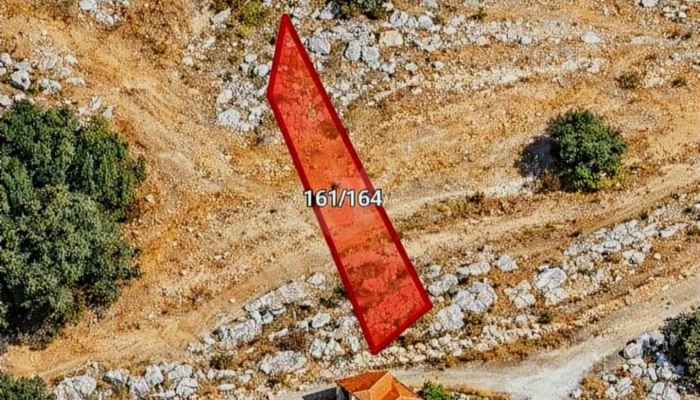 1000861875.jpg