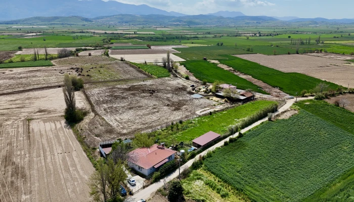 DJI_20260408170928_0195_D.jpg