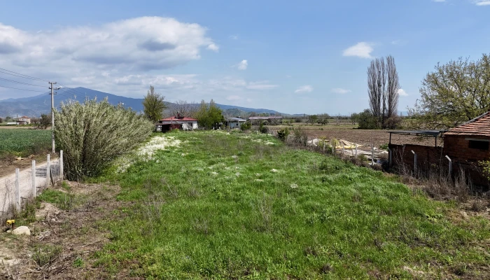 DJI_20260408171537_0215_D.jpg