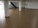 11_0.jpg
