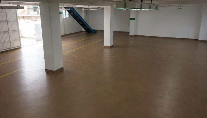 11_0.jpg