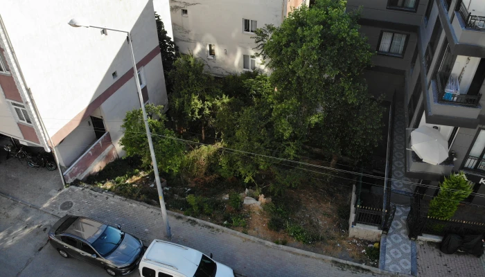 DJI_0038.jpg