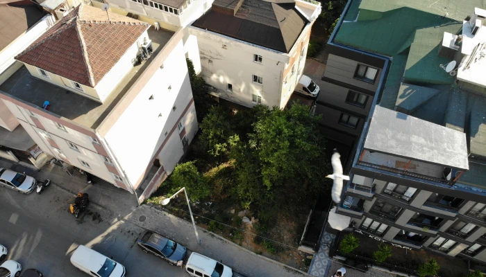 DJI_0066.jpg