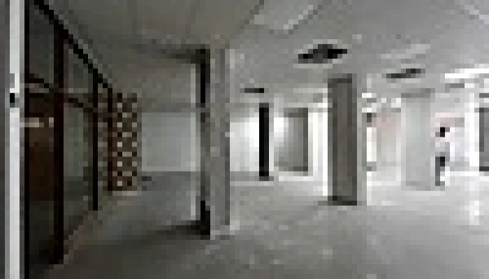 thmb_1326401119gxk.jpg