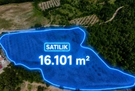 KÖY SINIRINDA FULL DENİZ MANZARALI SATILIK 16 DÖNÜM ARAZİ