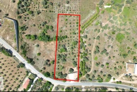 BUCA DOĞANCILARDA 5.000 m² VADİ MANZARALI MÜSTAKİL ZEYTİNLİK
