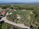DJI_20251113103913_0356_D.jpg