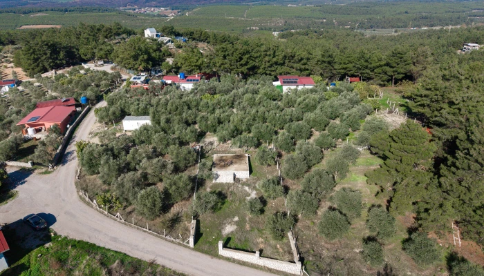 DJI_20251113103913_0356_D.jpg