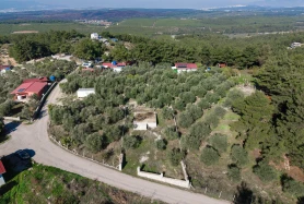 BELENBAŞINDA TEK TAPU-YOLA CEPHELİ-ETRAFI ÇEVRİLİ SATILIK TARLA