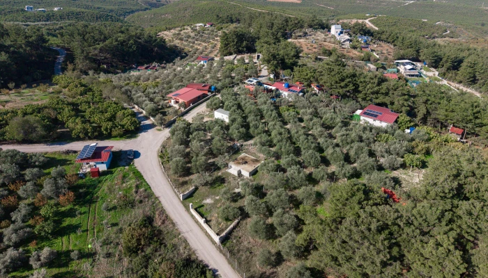 DJI_20251113103943_0359_D.jpg