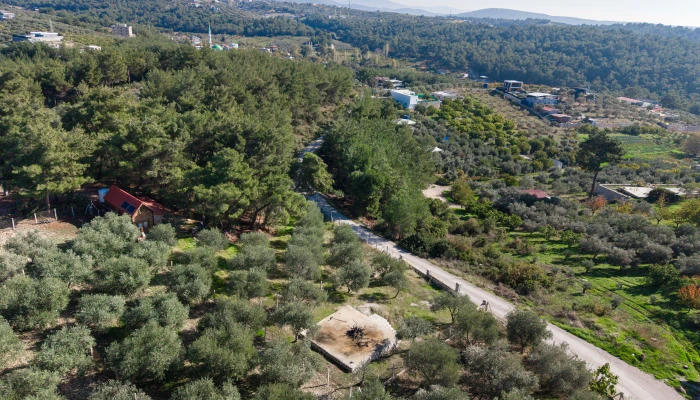 DJI_20251113104136_0372_D.jpg